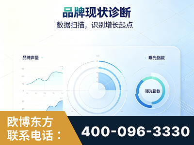 莱阳-品牌现状诊断