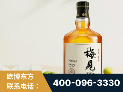 莱阳-梅见青梅酒